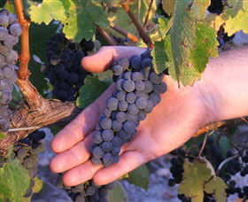 Eagles Rise Wine - Hervey Bay Accommodation 0