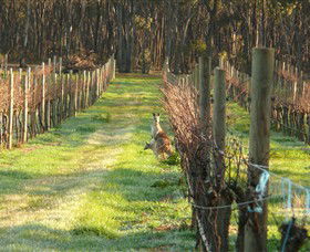 Sandhurst Ridge - Hervey Bay Accommodation 1