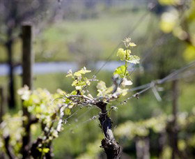 Galli Estate Winery - Hervey Bay Accommodation 0