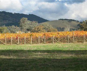 Kooyonga Creek Wines - Hervey Bay Accommodation 4
