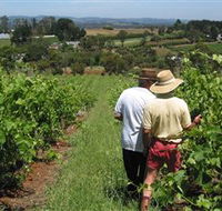 Sir Paz Estate - Hervey Bay Accommodation