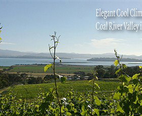Coal Valley Vineyard - Tourism Hervey Bay 5