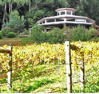 Peveril Vineyard/Beechy Berries - Hervey Bay Accommodation
