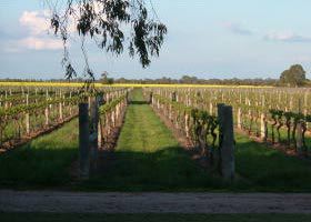 Bridgewater On Loddon VIC Hervey Bay Accommodation