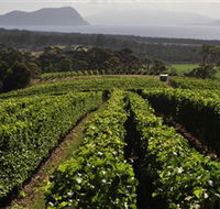 Bream Creek Vineyard - Tourism Hervey Bay