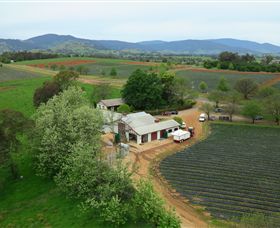 Schmidts Strawberry Winery - Hervey Bay Accommodation 0