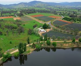 Schmidts Strawberry Winery - Hervey Bay Accommodation 3