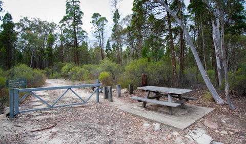 Munghorn Gap Nature Reserve - Hervey Bay Accommodation 2