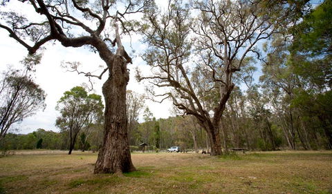 Munghorn Gap Nature Reserve - Hervey Bay Accommodation 3