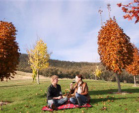 Gapsted Wines - Hervey Bay Accommodation 5