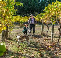 Little River Wines of Taggerty - Hervey Bay Accommodation
