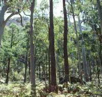 Cathedral Range State Park - Hervey Bay Accommodation