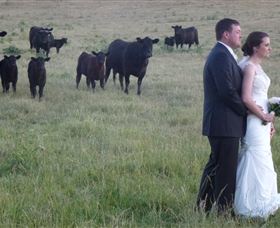 Athol Gardens - Tourism Hervey Bay 2