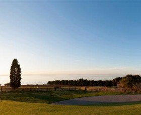 Jack Rabbit Vineyard - Hervey Bay Accommodation 3