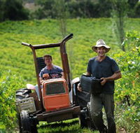 Kellybrook Winery Kelly Brothers Cider  Riders Brew Co. - Hervey Bay Accommodation
