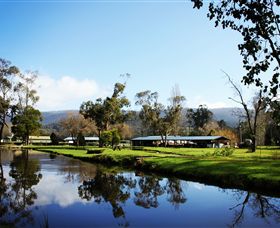 Buxton Trout & Salmon Farm - Hervey Bay Accommodation 0