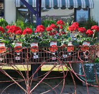 Van Loon's Nursery - Hervey Bay Accommodation