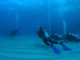 Man And Wife Rocks Dive Site - Tourism Hervey Bay 0