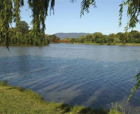 Caribbean Gardens And Market - Hervey Bay Accommodation 2