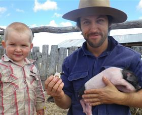 Gleneden Organic Farm And The Gleneden Bullock Team - Hervey Bay Accommodation 2