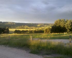 Gleneden Organic Farm And The Gleneden Bullock Team - Hervey Bay Accommodation 0