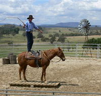 Boggy Creek Shows - Hervey Bay Accommodation