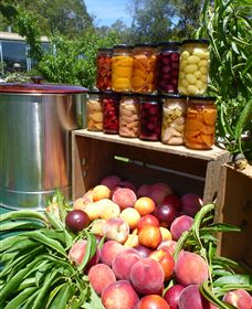 Rayner's Orchard - Tourism Hervey Bay 8