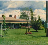 Tumut Valley Violets - Hervey Bay Accommodation