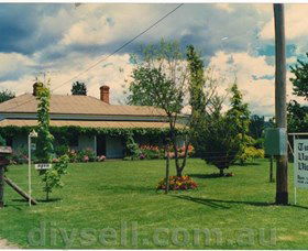 Tumut Valley Violets - Hervey Bay Accommodation 0