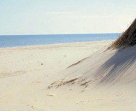 Lilley's Beach - Hervey Bay Accommodation 2