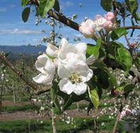 Mouat's Farm - Hervey Bay Accommodation