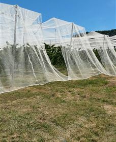 Mouat's Farm - Hervey Bay Accommodation 5