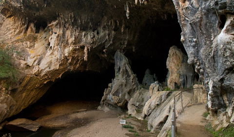 Abercrombie Karst Conservation Reserve - Hervey Bay Accommodation 2