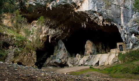 Abercrombie Karst Conservation Reserve - Hervey Bay Accommodation 3