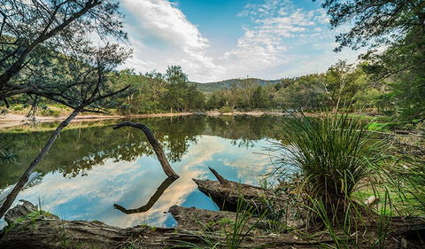 Warrabah National Park - Hervey Bay Accommodation 0