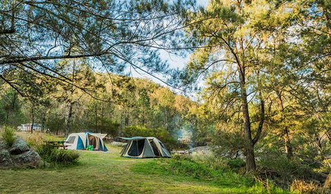 Warrabah National Park - Hervey Bay Accommodation 1