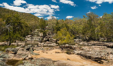 Warrabah National Park - Hervey Bay Accommodation 3