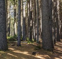 Sugarpine Walk - Hervey Bay Accommodation