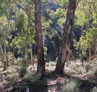 Mount Gray walking track - Hervey Bay Accommodation