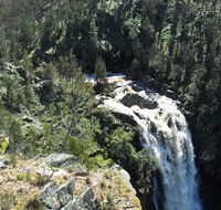 Grove Creek Falls walking track - Hervey Bay Accommodation