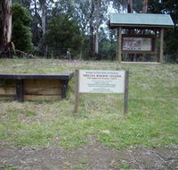 Shelley Forest Camp - Hervey Bay Accommodation