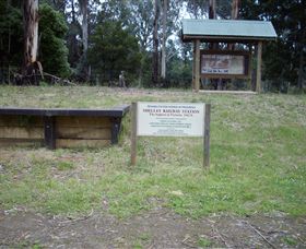 Shelley Forest Camp - Hervey Bay Accommodation 0