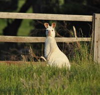 Panorama Garden Estate - Hervey Bay Accommodation
