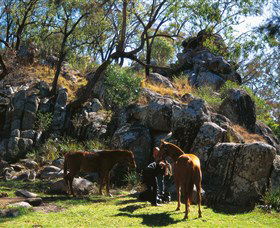  Tourism Hervey Bay