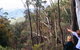 Hume And Hovell Walking Track - thumb 5