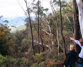 Hume And Hovell Walking Track - Tourism Hervey Bay 5