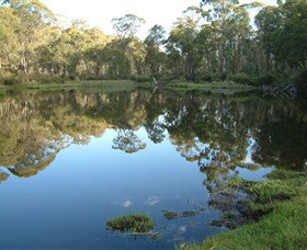 Hume And Hovell Walking Track - Tourism Hervey Bay 6