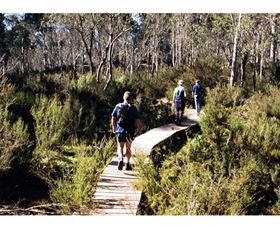 Hume And Hovell Walking Track - Henry Angel Trackhead - Hervey Bay Accommodation 0