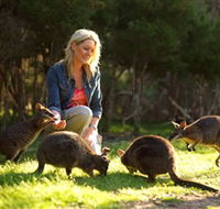 Moonlit Sanctuary Wildlife Conservation Park - Hervey Bay Accommodation