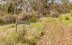 Old Mountain Road Walking Track - thumb 0
